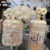 Mushroom Seed